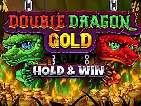 Double Dragon Gold_ Hold and Win
